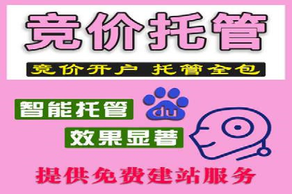 家电行业SEM推广策略：从广告到转化的全过程